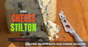 Blue Cheese and Stilton: What's the Difference?