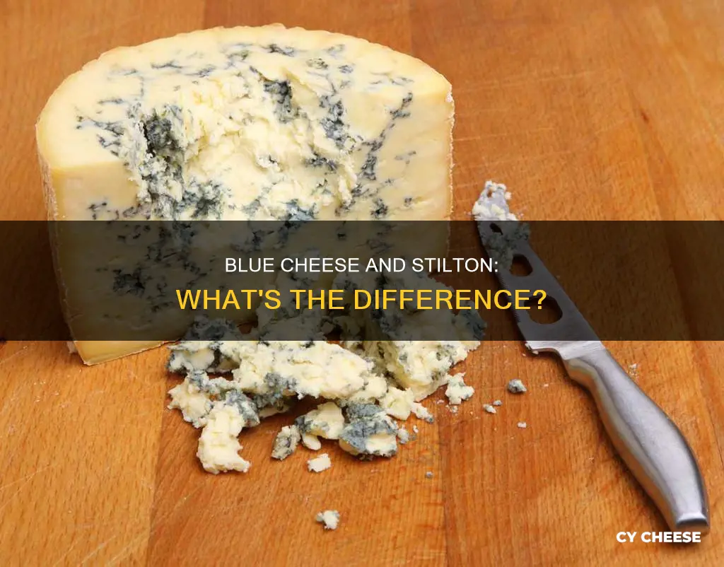 is blue cheese stilton
