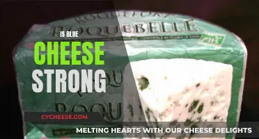 Blue Cheese: A Pungent Delight or Overpowering?