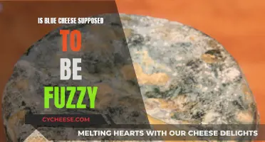 The Fuzzy Blue Cheese Mystery: Is It Safe to Eat?