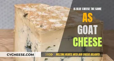 Blue Cheese vs Goat Cheese: What's the Difference?