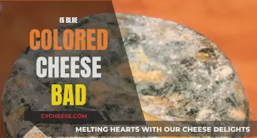 Blue Cheese: Is Blue Color a Bad Sign?