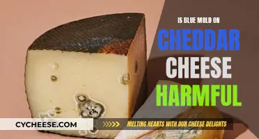 Is Blue Mold on Cheddar Cheese Safe to Eat?