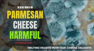Blue Mold on Parmesan: Harmful or Harmless?