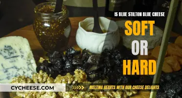 Unveiling Blue Stilton: Soft or Hard Cheese?