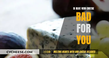 Blue Vein Cheese: Healthy Indulgence or Health Risk?