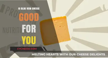 Blue Vein Cheese: Healthy or Harmful?