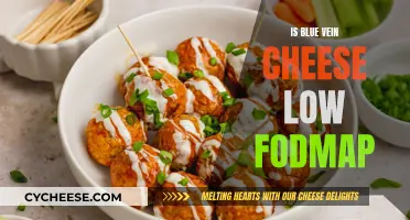 Blue Vein Cheese: A Low-FODMAP Superfood?