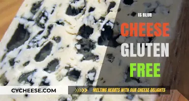 Gluten-Free Diet: Is Blue Cheese Safe to Eat?
