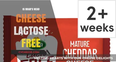 Boar's Head Cheese: Lactose-Free Delicacy?