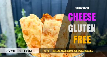 Bocconcini Cheese: Gluten-Free Delicacy