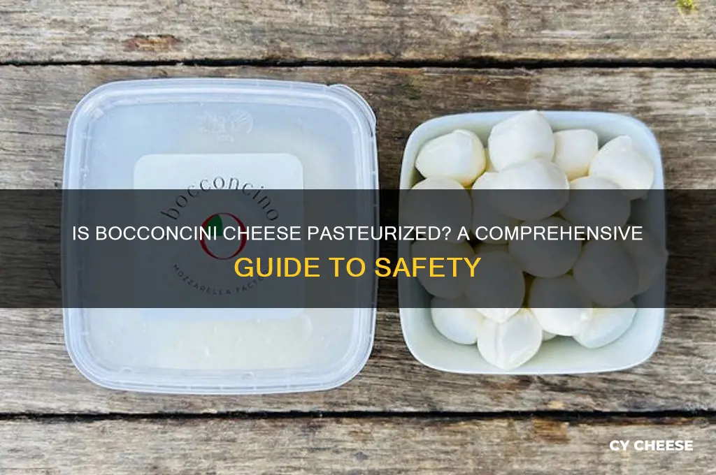 is bocconcini cheese pasteurized