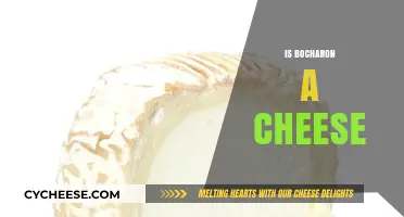 Is Bocharon a Cheese? Unraveling the Mystery of This Dairy Delight