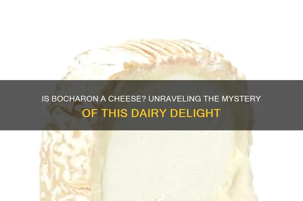 is bocharon a cheese