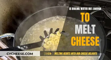 Hot Water: Can It Melt Cheese?