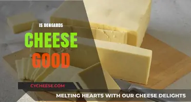 Bongards Cheese: A Tasty, Affordable Option?
