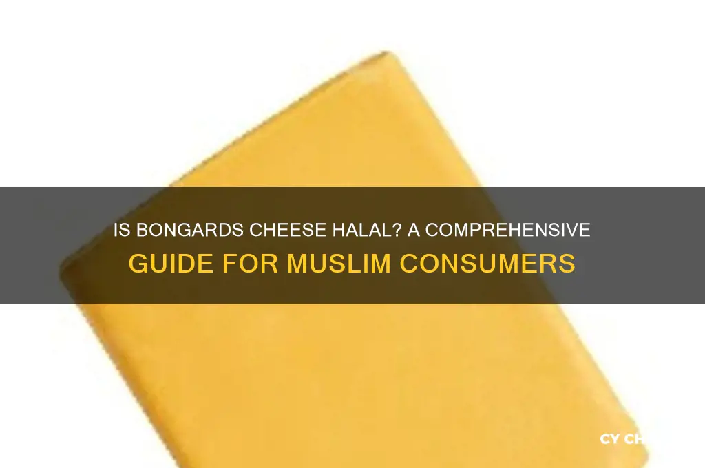 is bongards cheese halal