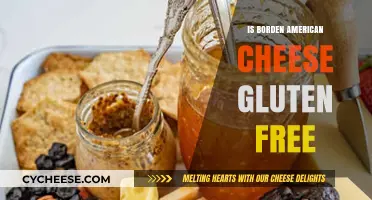 American Cheese: Borden's Gluten-Free Option