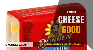 Borden Cheese: A Tasty, Reliable Choice?