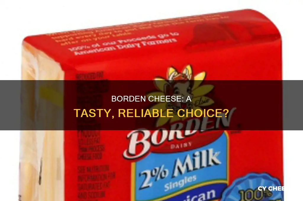 is borden cheese good