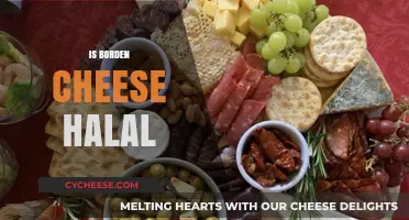 Is Borden Cheese Halal? Exploring Ingredients and Certification Details