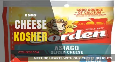 Is Borden Cheese Kosher? Exploring Certification and Dietary Compliance