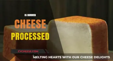 Is Borden Cheese Processed? Uncovering the Truth Behind the Label