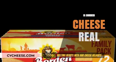 Is Borden Cheese Real? Uncovering the Truth Behind the Brand