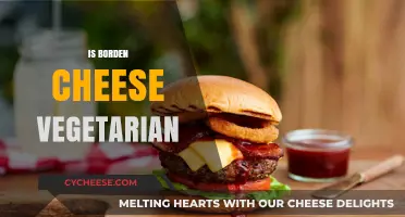 Is Borden Cheese Vegetarian? Exploring Ingredients and Dietary Suitability