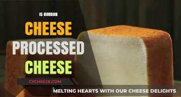 Is Borden Cheese Processed? Uncovering the Truth Behind the Label