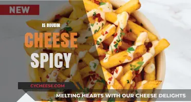 Is Boudin Cheese Spicy? Exploring the Flavor Profile of This Cajun Delight