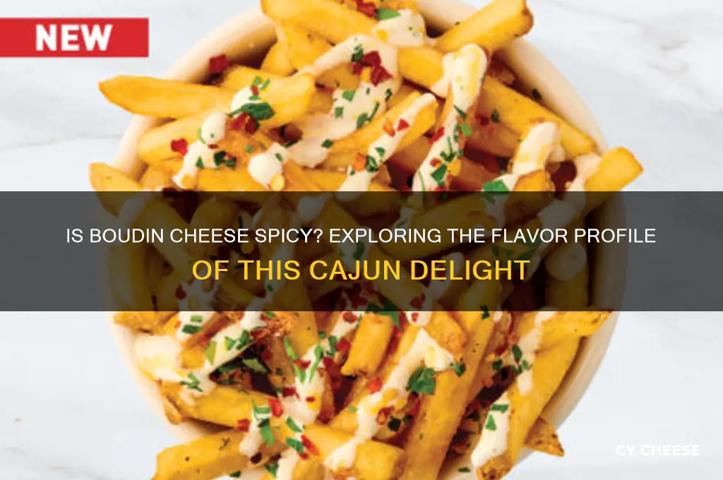 is boudin cheese spicy