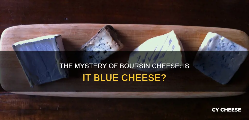 is boursib cheese blue cheese