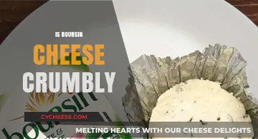 Is Boursin Cheese Crumbly? Texture Explained and Tips for Use