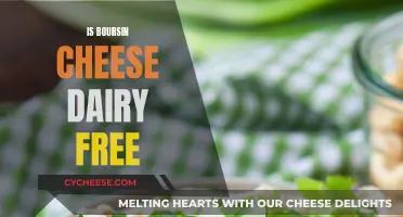 Boursin Cheese: Is It Dairy-Free or Not?