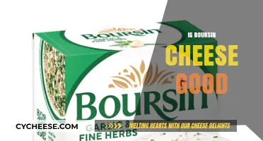 The Delicious Debate: Is Boursin Cheese Good?