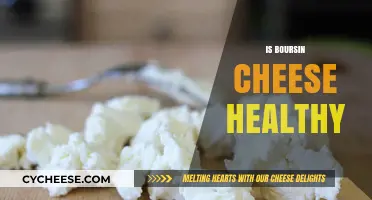 Is Boursin Cheese Healthy? The Facts You Need
