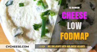 Is Boursin Cheese Low FODMAP? A Digestive-Friendly Guide