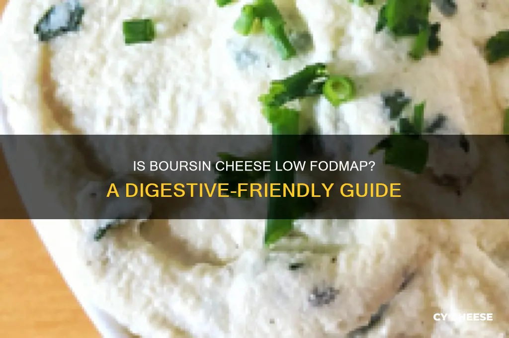 is boursin cheese low fodmap