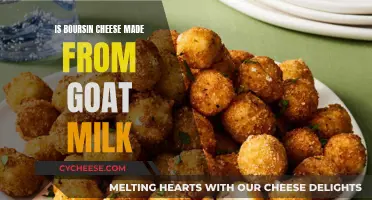 Boursin Cheese: Goat Milk or Not?