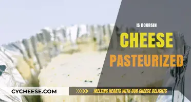 Is Boursin Cheese Pasteurized? A Complete Guide to Its Safety