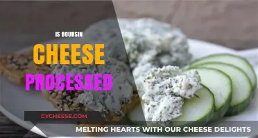 Is Boursin Cheese Processed? Uncovering the Truth Behind This Creamy Delight