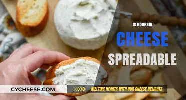 Is Boursin Cheese Spreadable? A Creamy, Flavorful Answer