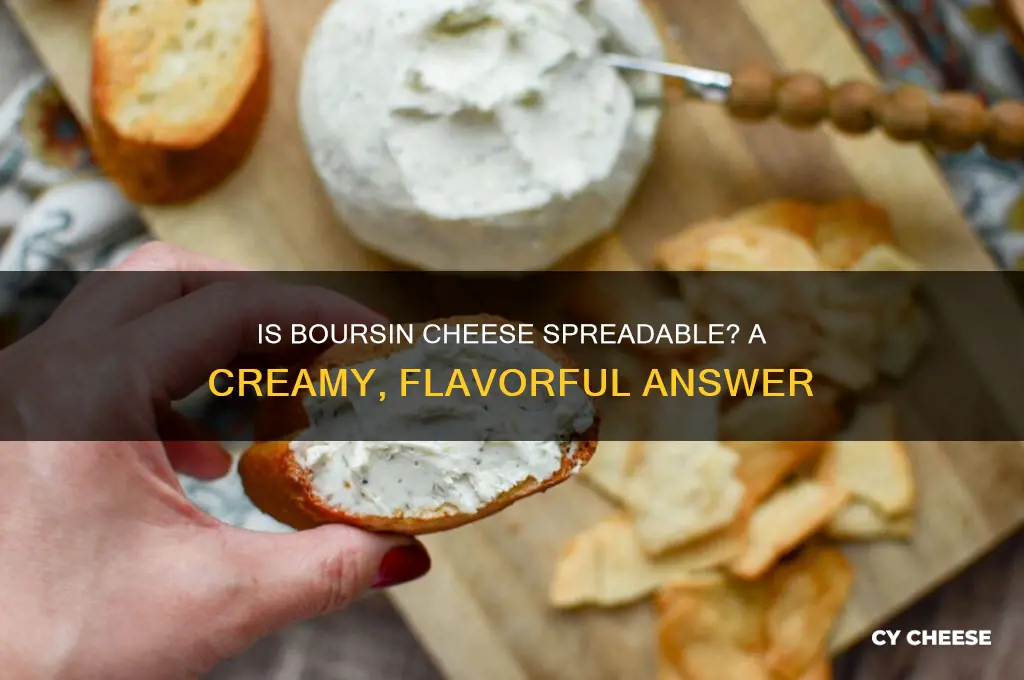 is boursin cheese spreadable