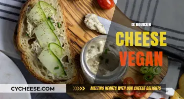 Is Boursin Cheese Vegan? Exploring Ingredients and Alternatives