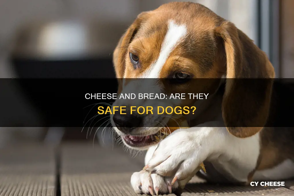 is bread and cheese bad for dogs