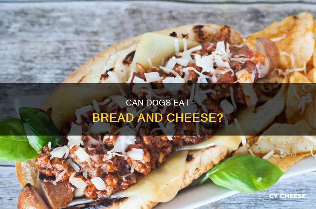 is bread and cheese good for dogs