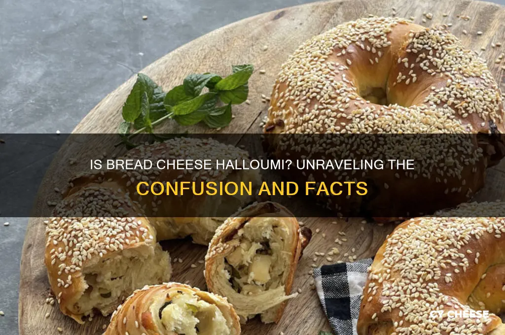 is bread cheese halloumi