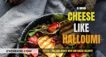Bread Cheese: Is Halloumi Unique?
