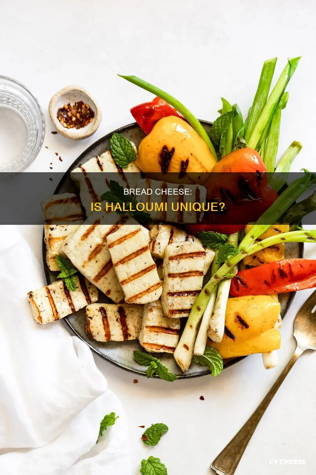 is bread cheese like halloumi